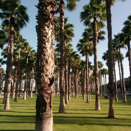 Apartamento Garland Agaete Parque Playa del Inglés Eksteriør bilde